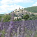 Banon - Lavender  Haute Provence