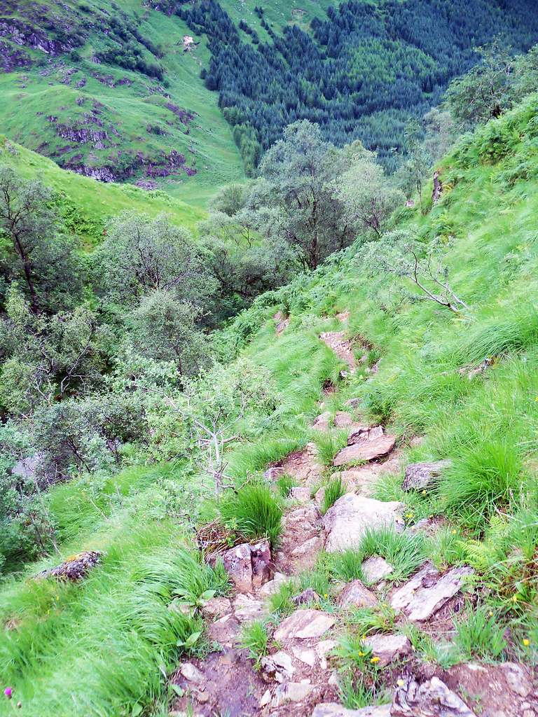 246m the path up Allt na Faingo Beinn Bhuidhe