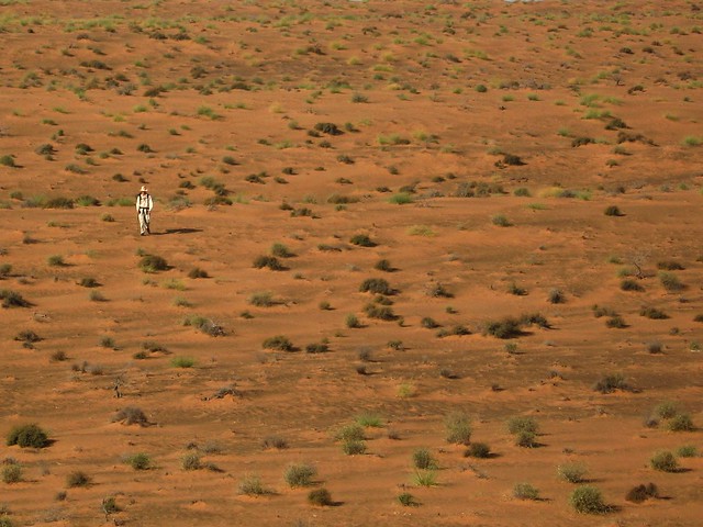 Lone walker in the Wahiba Desert
