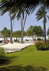 Zanzibar 2012