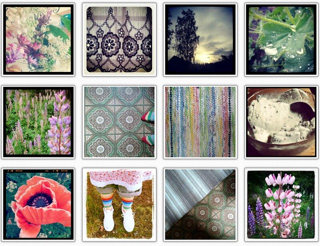 Collecting Flowers & patterns on Instagram