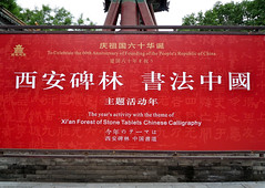 China, Xi'an: caligrafía en el Bosque de las Estelas 