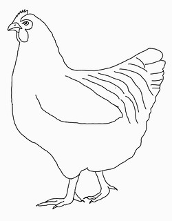 chicken outline only