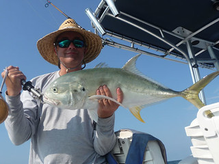 The Crevalle Jacks were thick