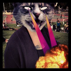 Congratulations, “Catwang”. You are my new favourite iOS photo editor.