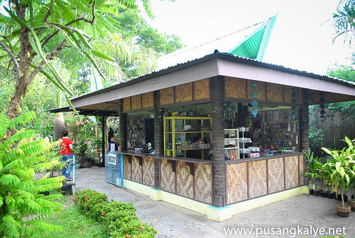Davao_Butterfly_house