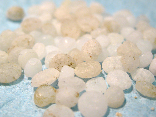 塑膠微珠。（照片：NOAA提供。）