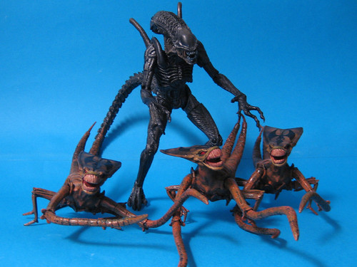Alien and Brood