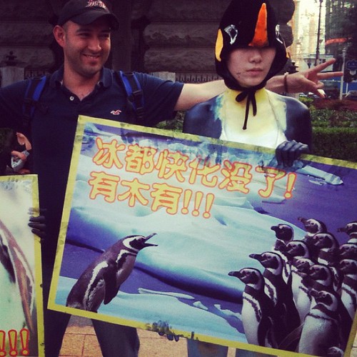Estudiante organzed acto calentamiento global - pingüinos & Juan. Wuhan, China