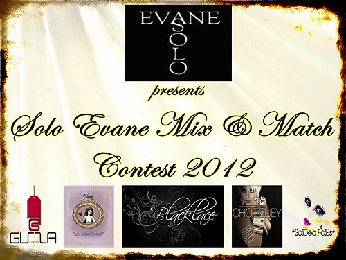 Solo Evane Mix and Match Contest 2012 by Ellendir Khandr MMV 2012 Miss Costa Rica