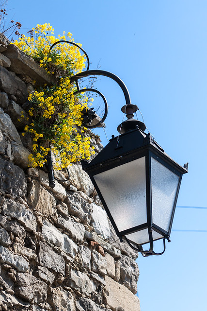 Kamianets Town Light