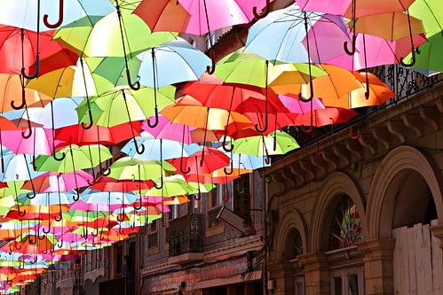 umbrellas & sun