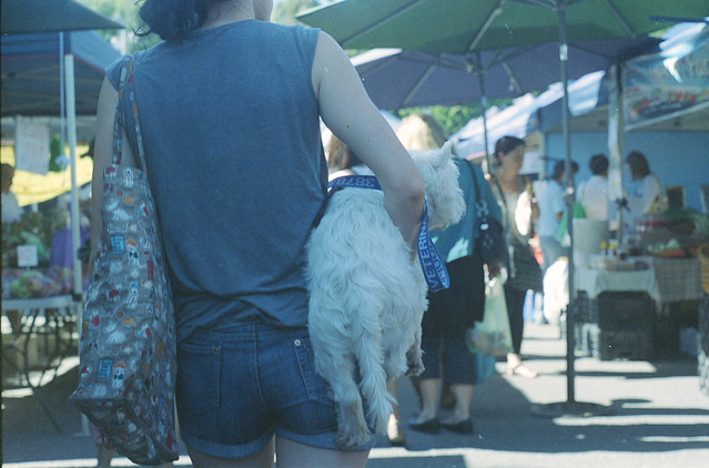 Lady carrying dog