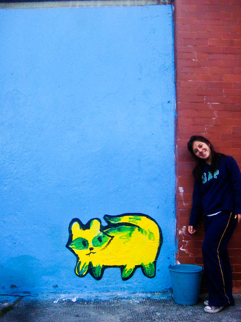 Blue Wall - Yellow & Green Raccoon-Cat