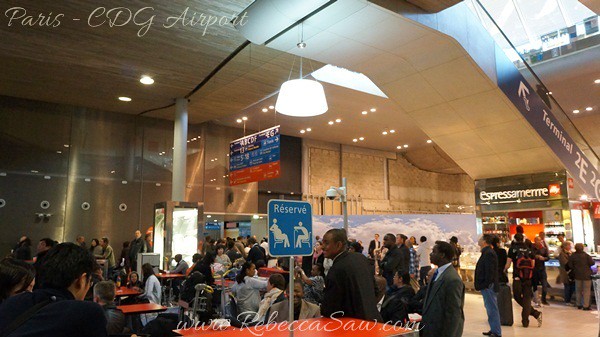Paris - CDG Airport  (35)