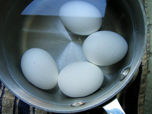basic boiled eggs
