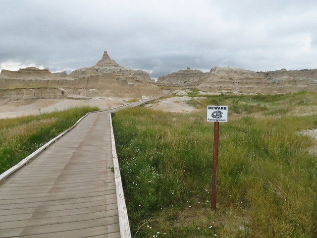 RATTLESNAKES IN THE BADLANDS