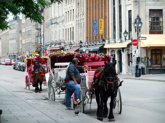 Old Downtown Montreal