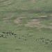 Ngorongoro Conservation Area impressions - IMG_4944