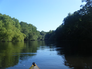 Starting out on the Edisto River