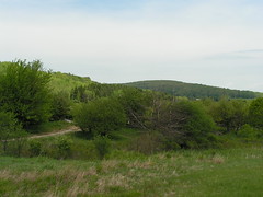 Allegany River Rest Area