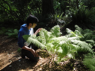Terry with Fern 1