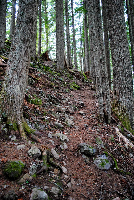 Hunchback Mountain Trail #793 - Mt. Hood National Forest