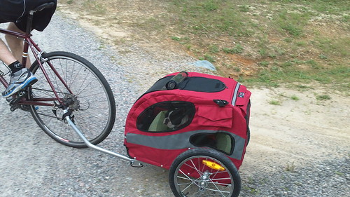 Charlie's Chariot first ride May 2012 (15)