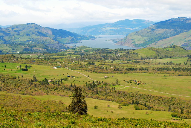View from Tom McCall Preserve - Eastern Columbia River Gorge