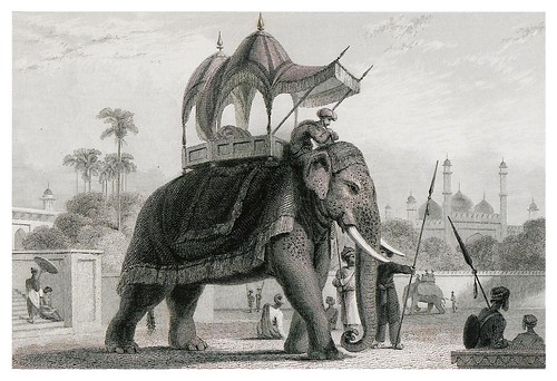 017-Un elefange enjaezado-The oriental annual, or scenes in India 1835-1840- William Daniell-© Universitätsbibliothek Heidelberg