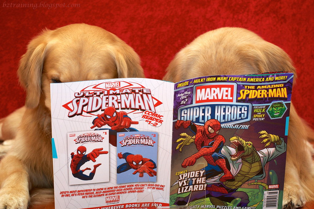 Dogs and Comic Book
