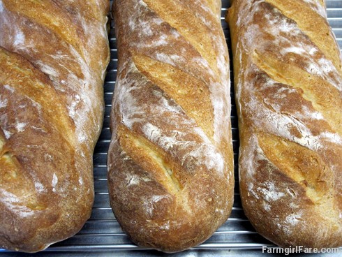 (19-6) Freshly baked French bread made with beer instead of water - FarmgirlFare.com