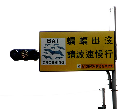 Bat Crossing