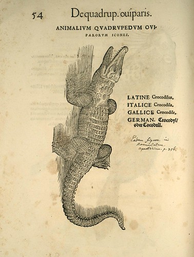 005-Cocodrilo-Icones animalium- (1553)- Conrad  Gesner- SICD Strasbourg