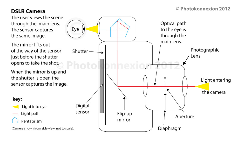 trechter ontslaan Rijpen Definition: DSLR; Digital Single Lens Reflex Camera - Photokonnexion