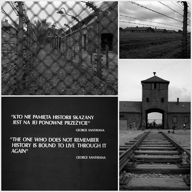 120622 Auschwitz Birkenau