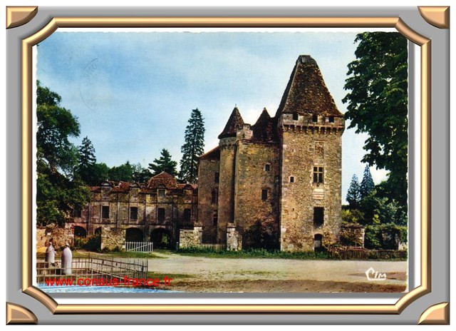Le Château de la Marthonye (13è siècle)-70-150_000