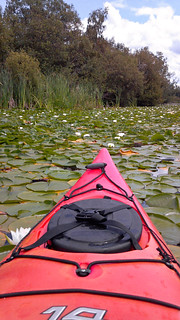 Kayaking on Lake
Union