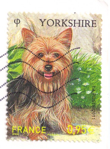Yourkshire Terrier France Stamp