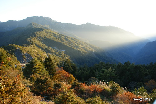 Hehuan Mt., Nantou.
