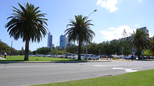 Palm trees and the CBD
