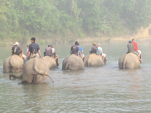 Giving an elephant a bath, Laos