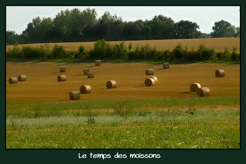 Du beau travail de nos paysans ! by Jogabi-Michèle