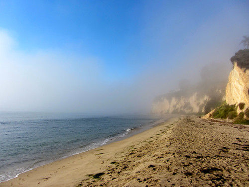 morning fog retreats
