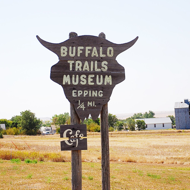 buffalo trails