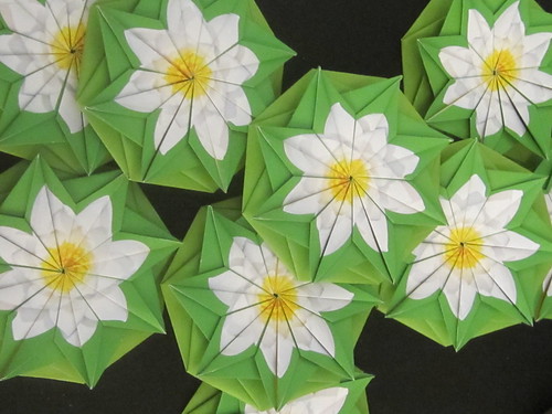 Origami Lotus Flowers