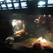 571-092312-New England Aquarium posted by Brian Whitmarsh to Flickr