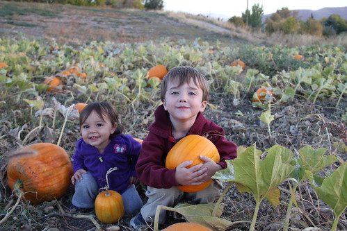 The two kids in the pumpkins 2
