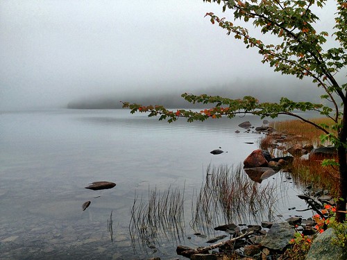Eagle Lake, Acadia National Park, Bar Harbor, Maine by Ron Gunzburger