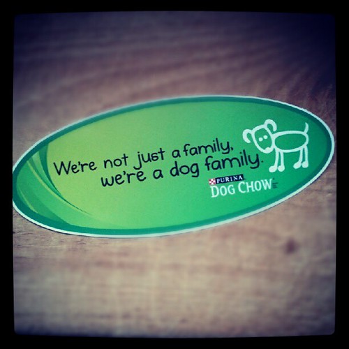 We're not just a family, we're a dog family.  #dogs #dogstagram #dogsofinstagram #instadog #petstagram #love